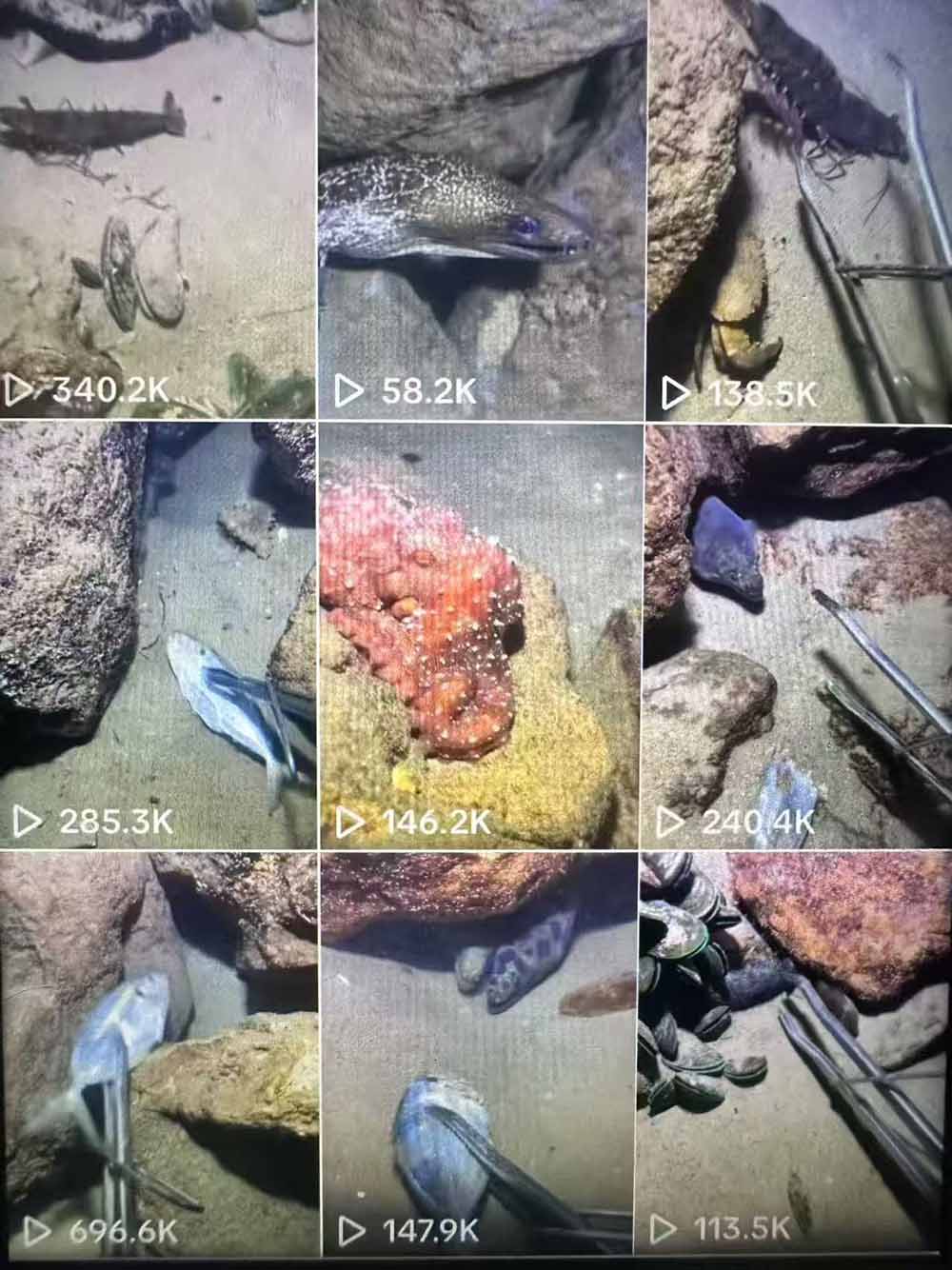 Tiktok中视频解说教程，体育+温情文案双赛道实操教程一站式带你落地插图1