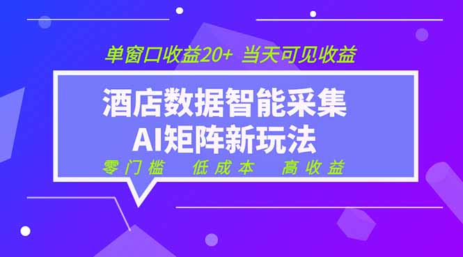 2026酒店数据采集ai智能矩阵新风口 低成本 高收益 当天见收益 单窗口20+-寒山客