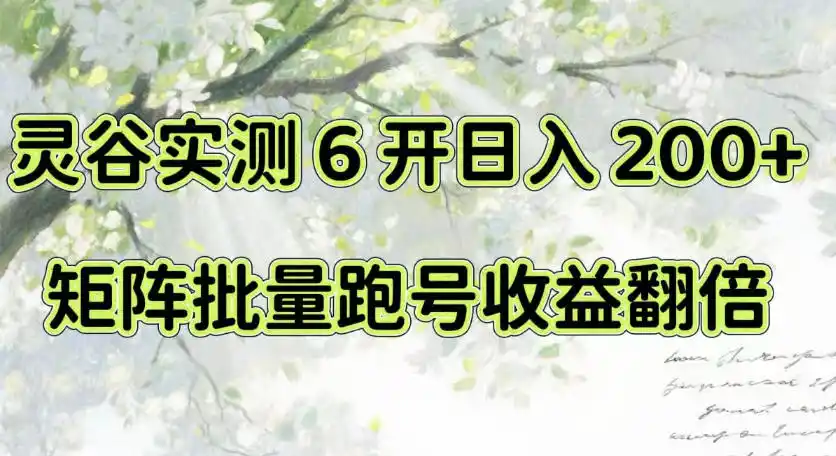 一台电脑就能做！灵谷实测6开日入200+，矩阵批量跑号收益翻倍【揭秘】-小创项目网