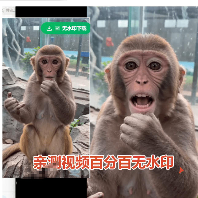 豆包无水印下载终于来了！支持豆包图片/视频，目前唯一免费使用的插件，浏览器拓展