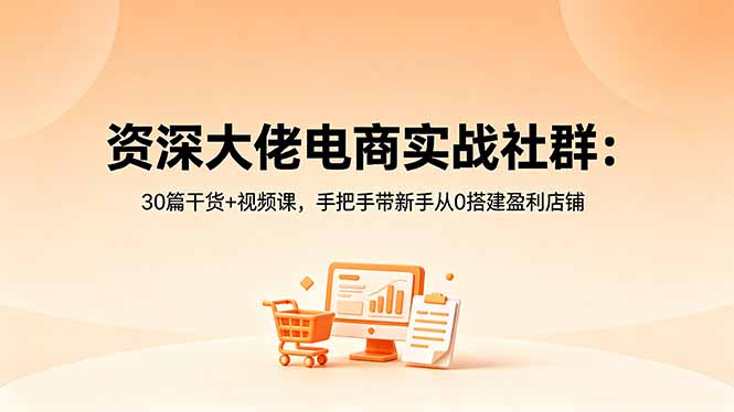 资深大佬电商实战社群：30篇干货+视频课，手把手带新手从0搭建盈利店铺-小创项目网
