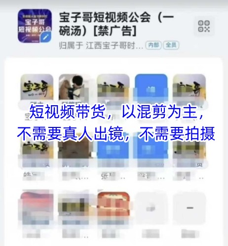 宝子哥头部团队短视频带货，以混剪为主，不需要真人出镜，不需要拍摄【更新26年3月】-小创项目网