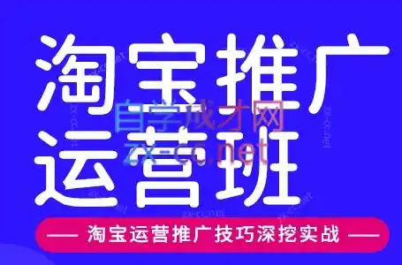 美迪电商·淘宝高级运营班+推广运营班(更新9月)-寒山客