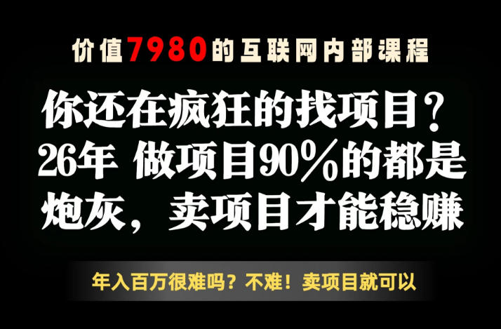 26年请不要疯狂的找项目了，卖项目远比你想象的暴利，你也可以月入10W+【揭秘】-小创项目网