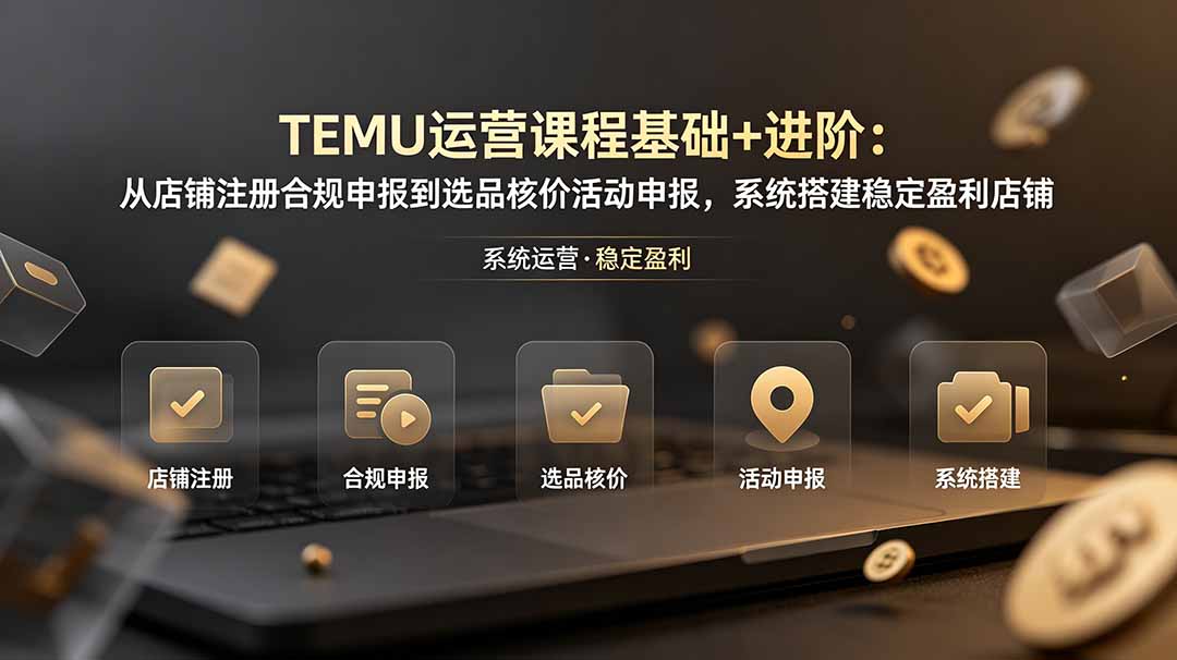 TEMU运营课程(基础+进阶-寒山客