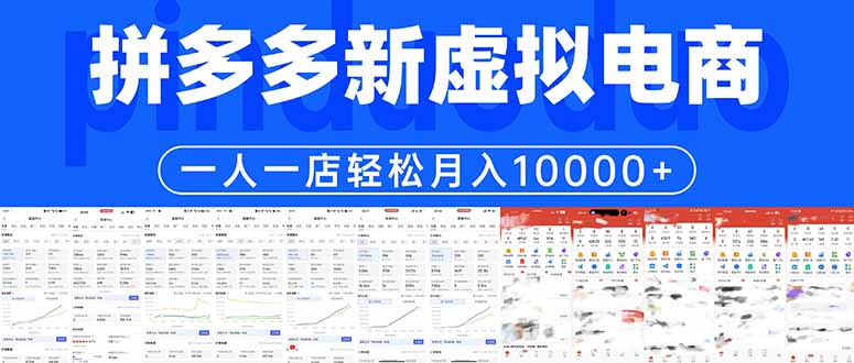 拼多多虚拟电商一人一店轻松月入10000+-小创项目网