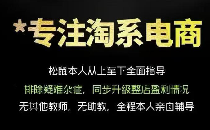 松鼠会电商VIP课程，从基础布局到高阶优化，助你掌握淘宝运营逻辑，提升店铺流量与转化-寒山客