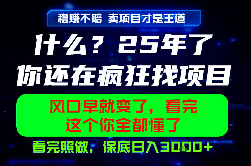 26年，请不要疯狂的找项目做了！卖项目才是真的稳賺不赔，看完照做，保底日入1k+【揭秘】-小创项目网