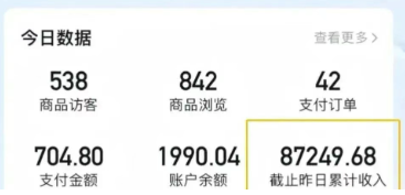 2026新手也能操作的带货玩法，用这个方法零门槛，轻松月入10000+-小创项目网