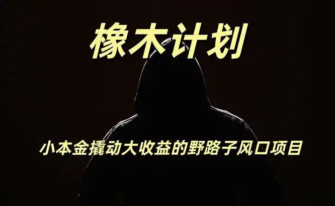 橡木计划，小投入撬动高回报的风口野路子项目，一天投入2小时左右-小创项目网