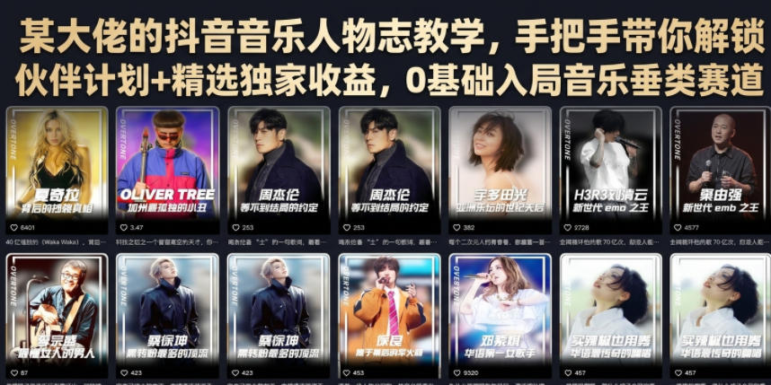 某大佬的抖音音乐人物志教学，手把手带你解锁伙伴计划+精选独家收益，0基础入局音乐垂类赛道-小创项目网