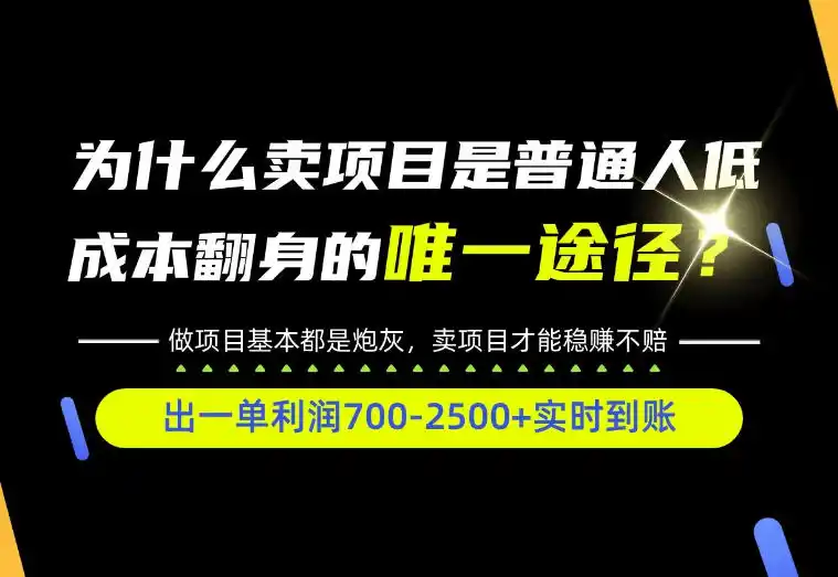 普通人如何靠互联网賺取自己的第一桶金！全类目实操型教学，看完你全都懂了！【揭秘】-小创项目网