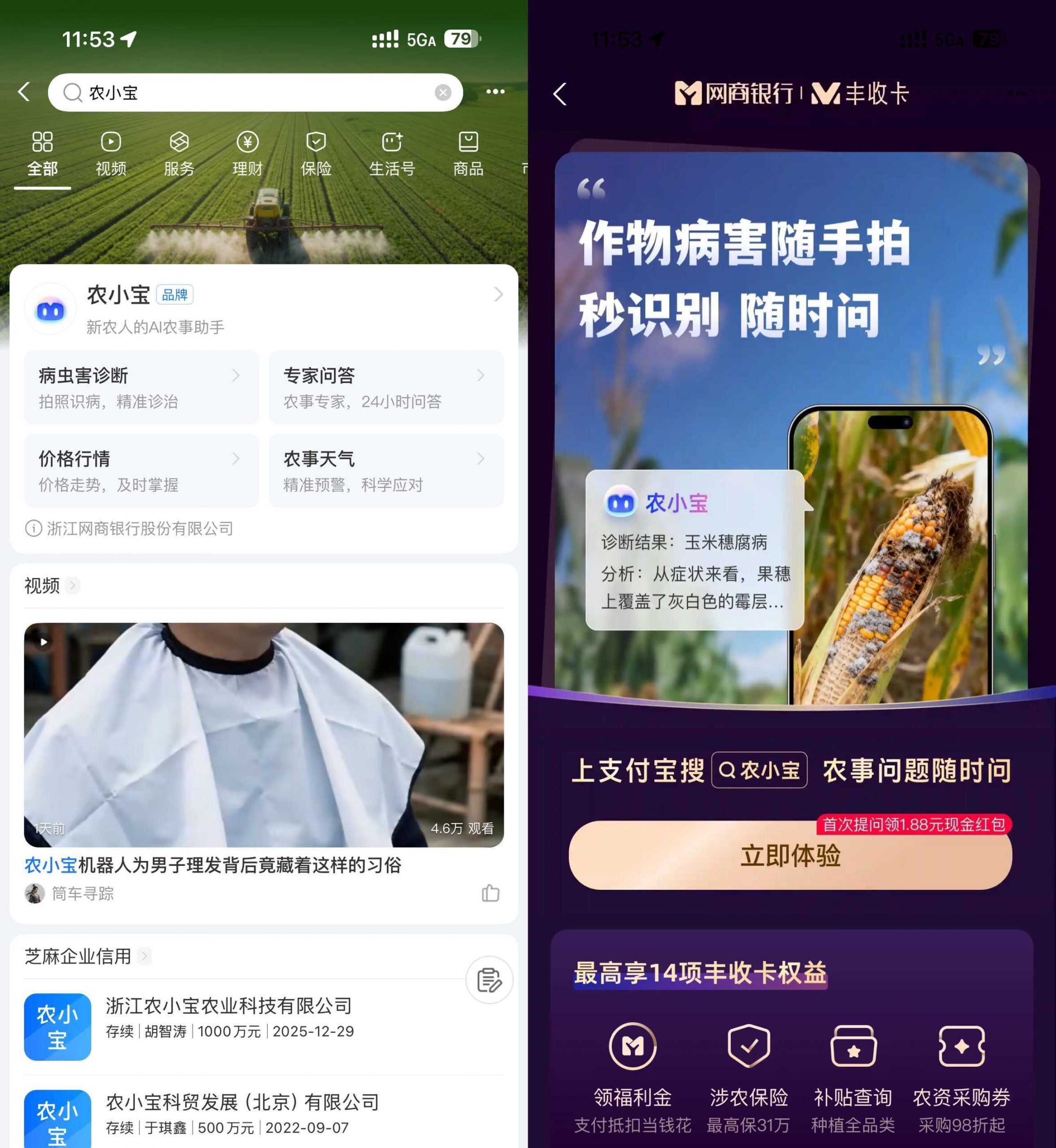 支付宝农小宝首次提问得1.88亓-小创项目网