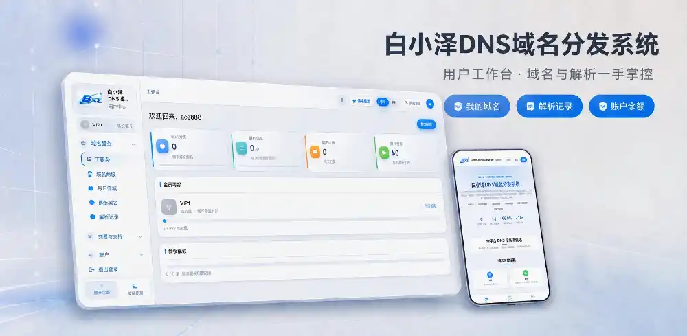 白小泽DNS域名分发系统 公测版 v1.0.0-小创项目网
