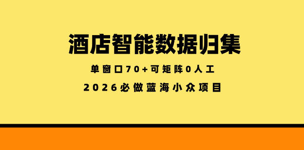 酒店智能数据归集，小众蓝海已经稳定半年之久，单窗口70+零成本矩阵开干【揭秘】-小创项目网
