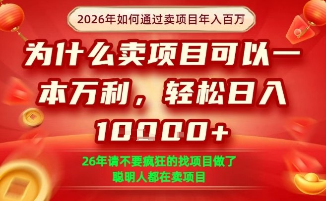 一单净利润1K+，26年想年入100个W，死磕卖项目就够了【揭秘】-小创项目网