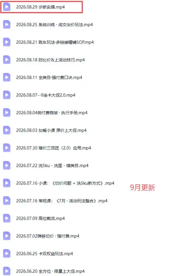 拼多多实战特训营(更新26年0831-小创项目网