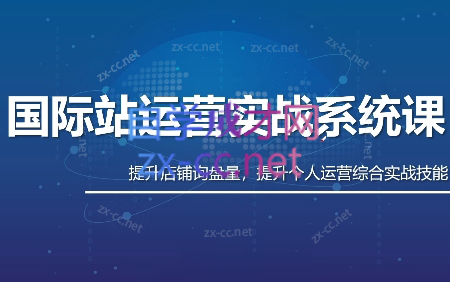 白老师·国际站运营实战系统(高质量询盘增长课)(更新)-寒山客