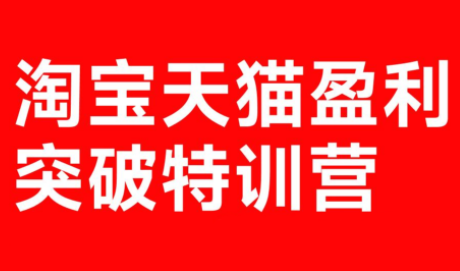 玺承·淘宝天猫盈利突破特训营(25年12月线下课)【音频+字幕】-小创项目网